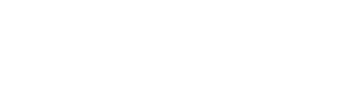 MS1 Inscription